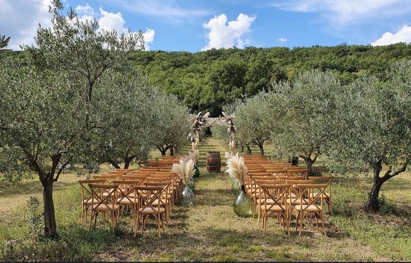 Domaine de Valbonne entouré de vignes et oliviers dans le Gard : mas du XVIe siècle sur 35 hectares privatisable pour mariages et séminaires avec hébergement 56 personnes