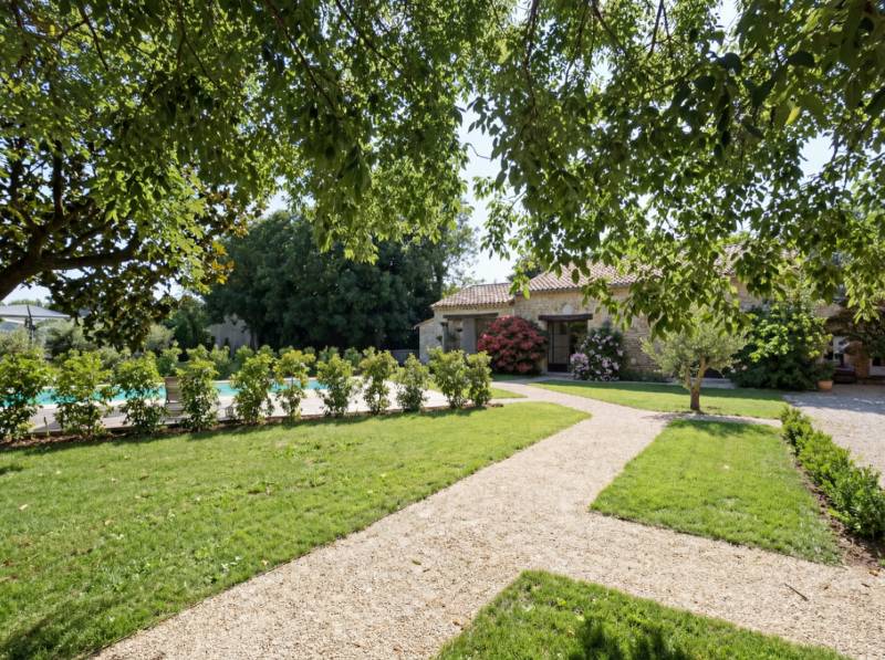 Allée des oliviers du Mas sous le Marronnier : mas provençal pour cérémonies laïques aux portes du Luberon