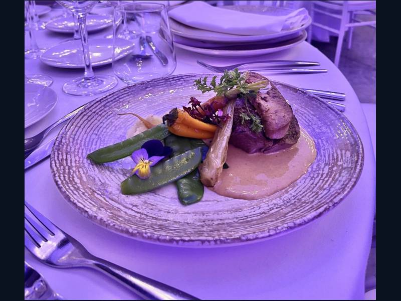 Organisation d'une soirée d'anniversaire exceptionnelle à L'Abbaye du Grand Gigognan avec Kendji Girac, des invités prestigieux et une gastronomie raffinée.